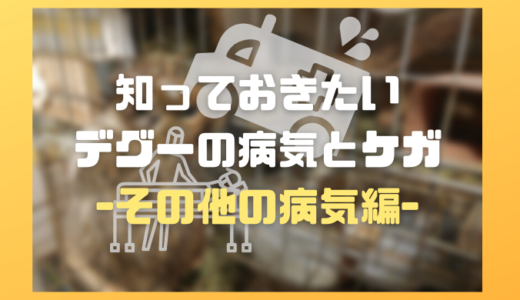 知っておきたいデグーの病気とケガ～その他の病気編～