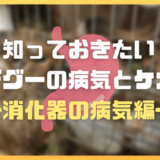 知っておきたいデグーの病気とケガ～消化器の病気編～