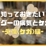 知っておきたいデグーの病気とケガ～外傷(ケガ)編～