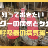 知っておきたいデグーの病気とケガ～呼吸器の病気編～