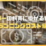 デグーの飼育に掛かる費用～ランニングコスト編～