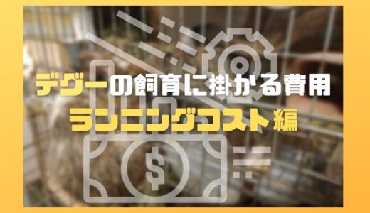 デグーの飼育に掛かる費用～ランニングコスト編～